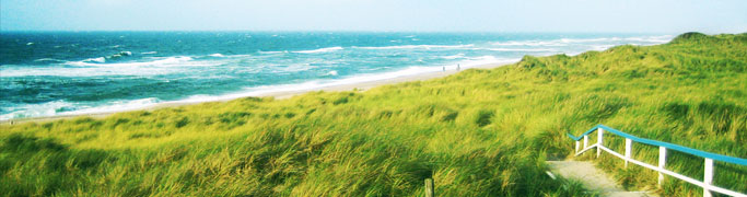 header banner